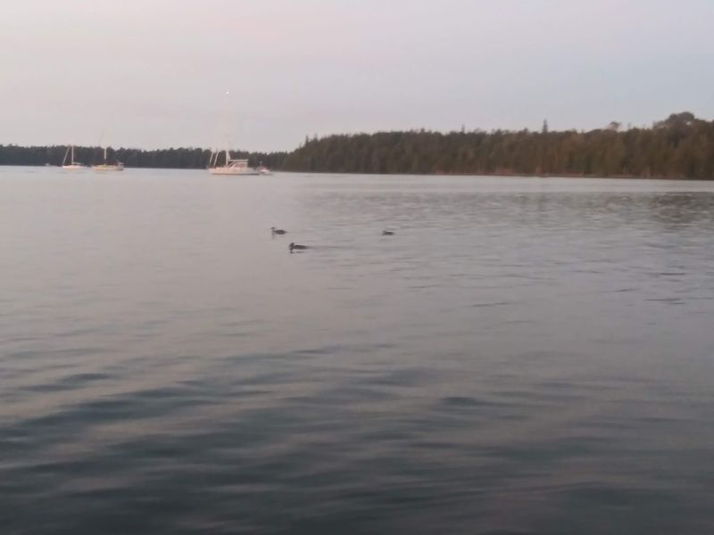 Sailing Through One of the Great Lakes' Most Scenic Archipelagos
