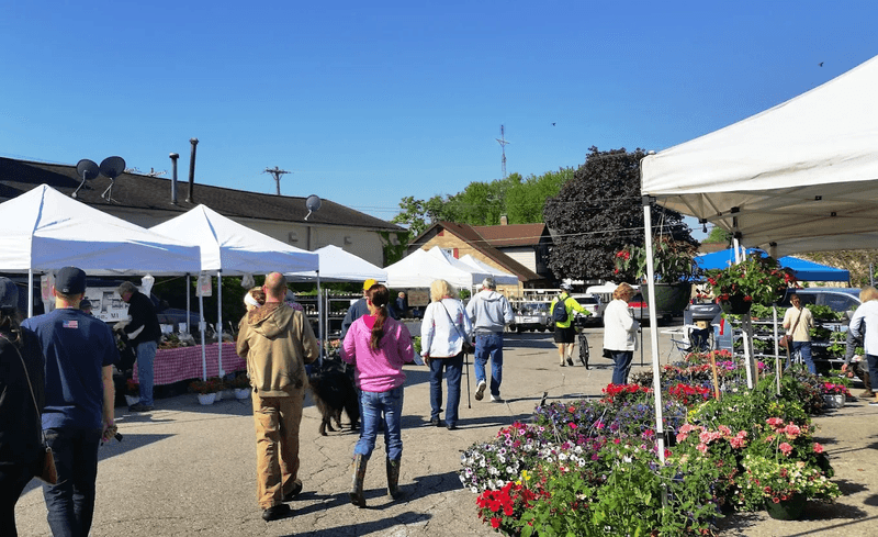 Saline Farmers Market Vendors