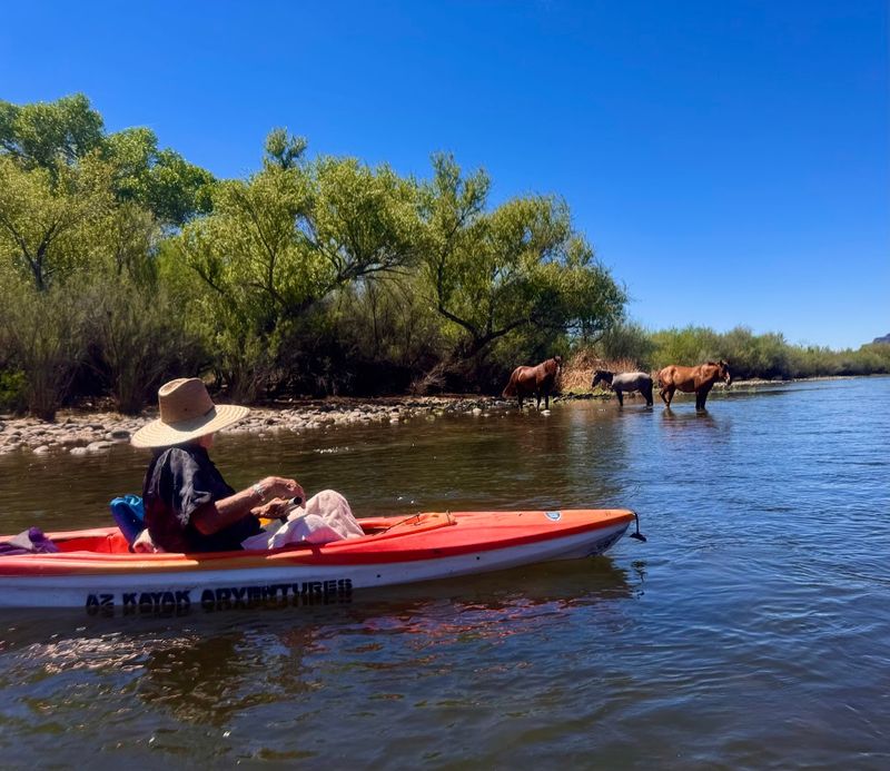 Salt River Floating and Kayaking Trips