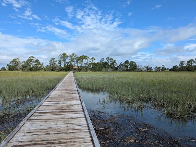 Saltwater Marsh Walk and Fishing Pier