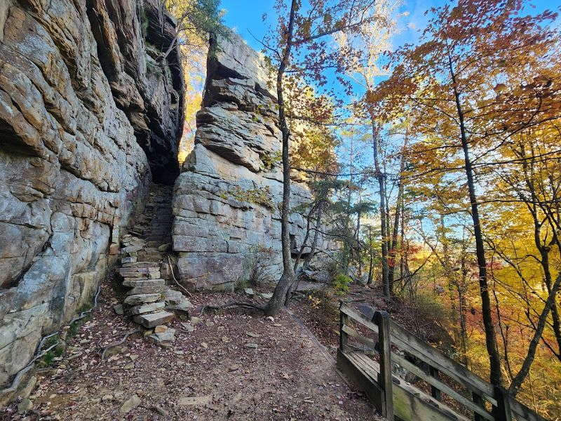 Sandstone Cliffs and Autumn Foliage: A Color Show Like No Other