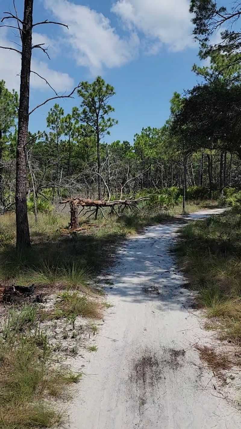 Sandy Terrain Tips Every Biker Needs to Know Sandy Terrain Tips Every Biker Needs to Know