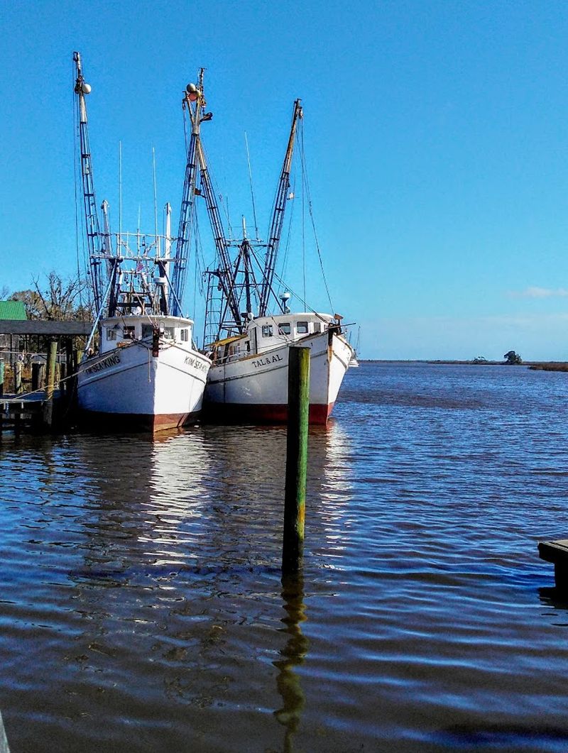 Sapelo Island: A Day Trip Unlike Any Other