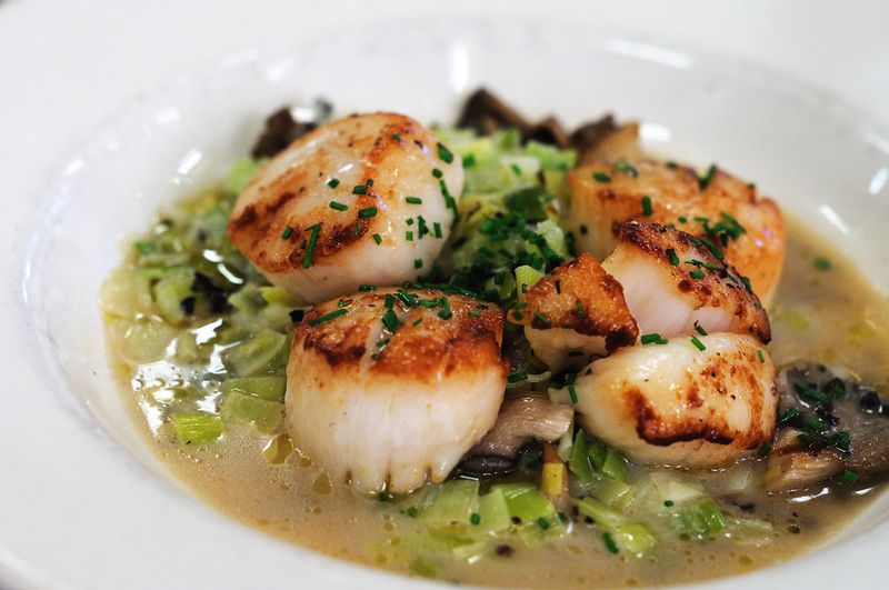 Scallops