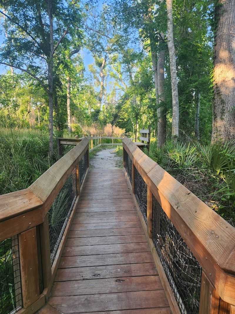 Scenic Boardwalk With Stunning Views of the Spring