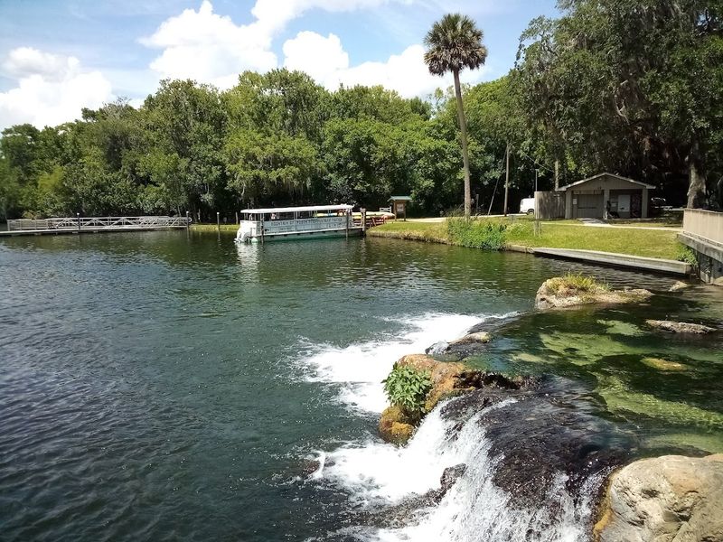Scenic Boat Tours Along the Spring Run River