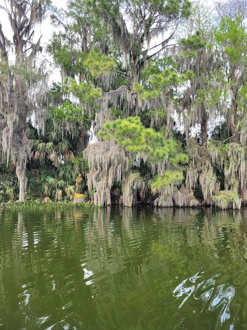 Scenic Boat Tours on the Chain of Lakes Scenic Boat Tours on the Chain of Lakes