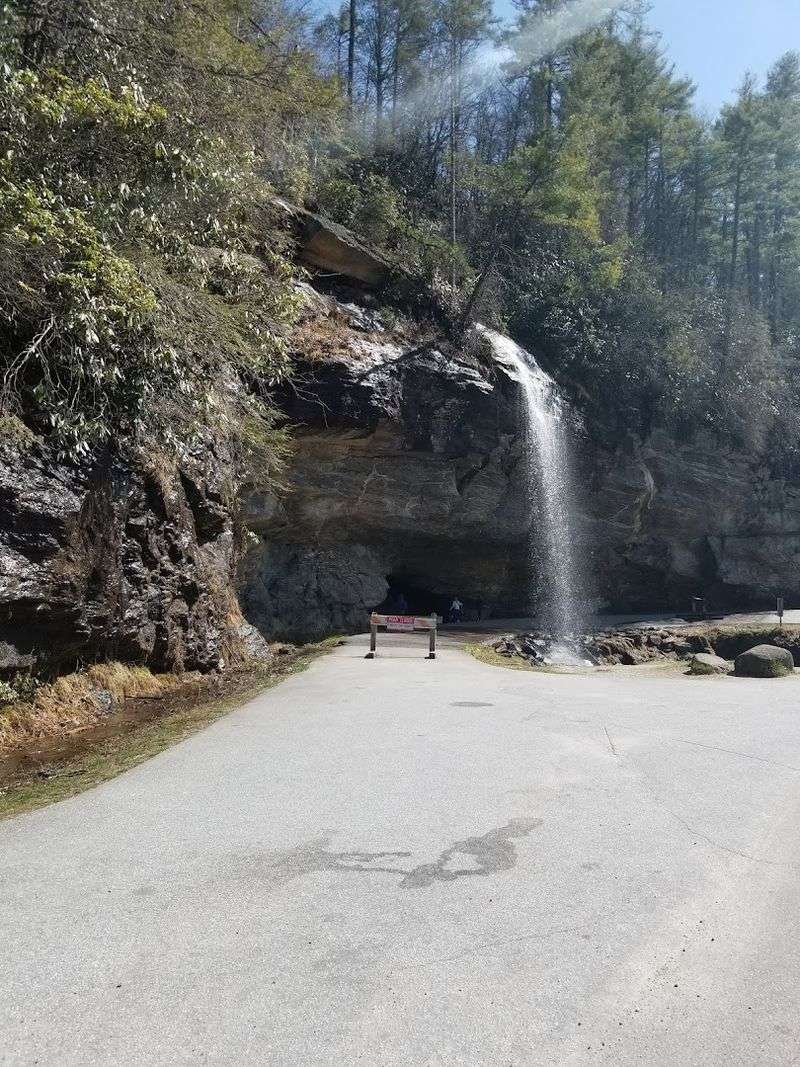 Scenic Drives That Are Worth Every Twist and Turn