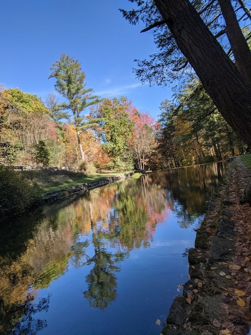 Scenic Fall Foliage That Makes the Drive Alone Worth It