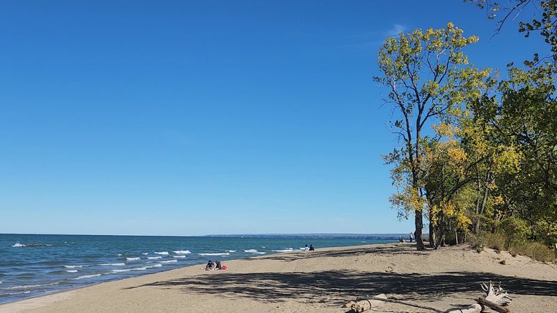 Scenic Hiking Trails for Every Fitness Level Scenic Hiking Trails for Every Fitness Level