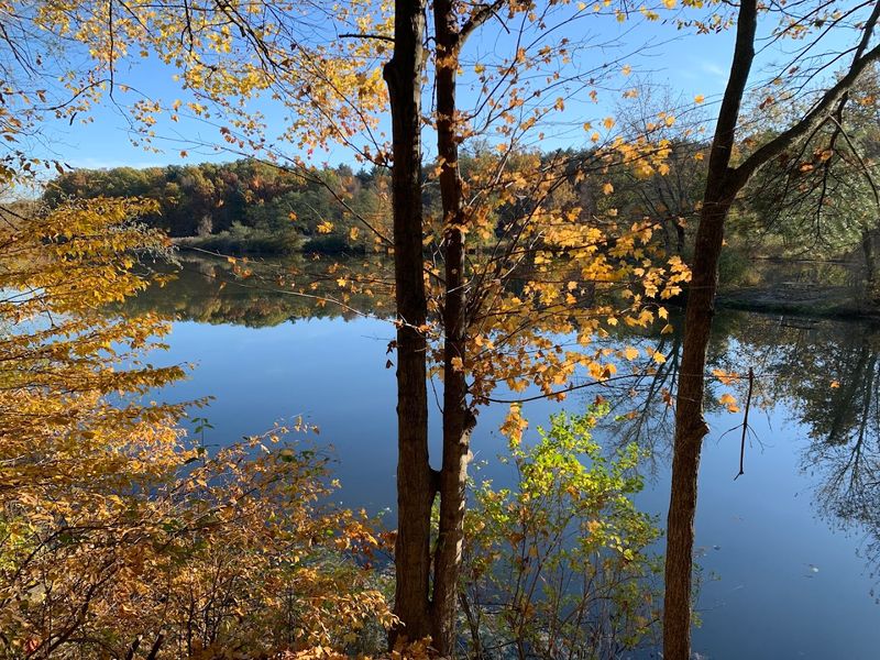 Scenic Hiking Trails for Every Skill Level