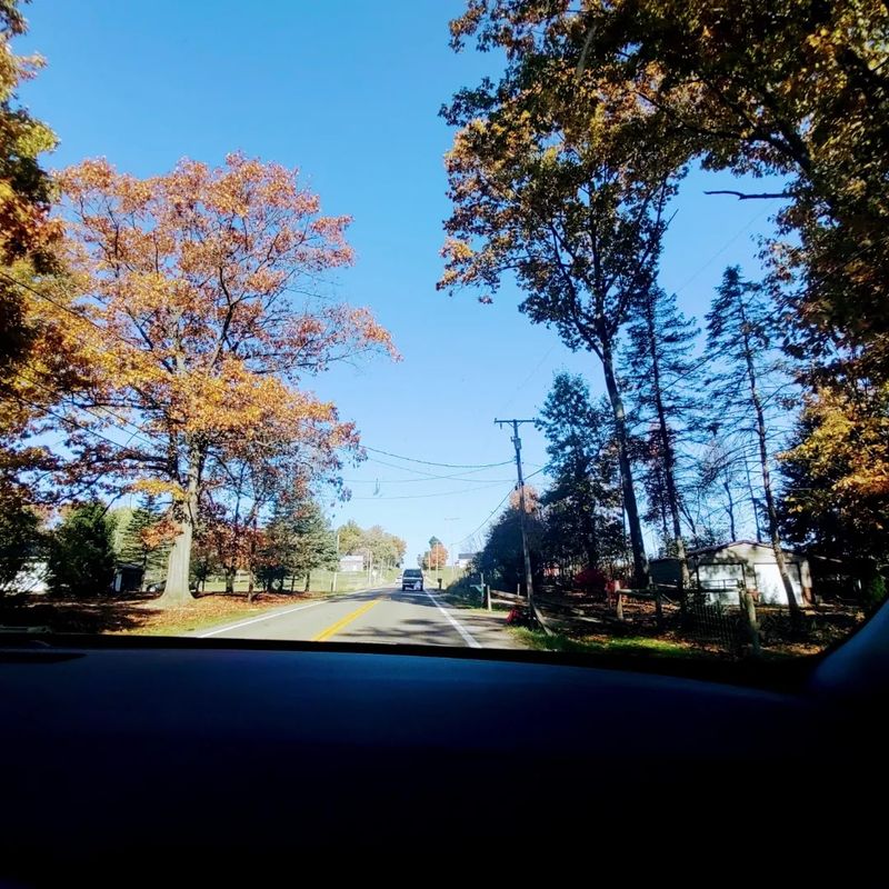 Scenic SR 39: The Byway's Most Beautiful Stretch of Road