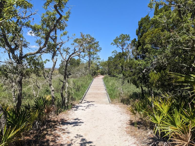 Scenic Trails Through Coastal Forest