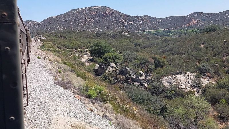 Scenic Train Ride Through Rolling Hills and Canyon Views