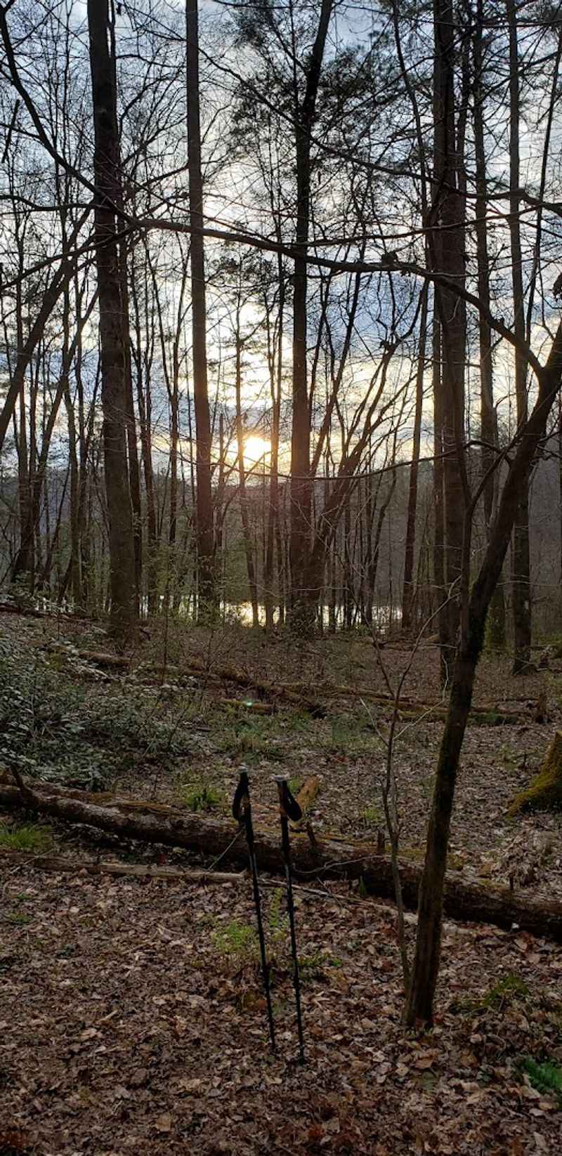 Scenic Views of Pinnacle Mountain and Table Rock