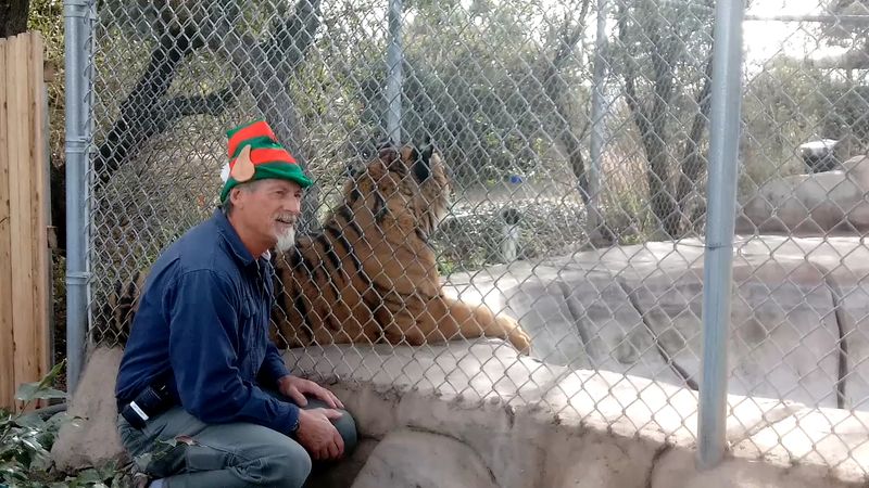 Scheduled Feeding Sessions With Animal Backstories