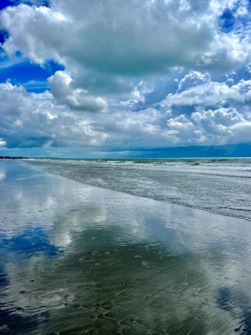 Sea Glass, Abalone, and Shells Worth Hunting For