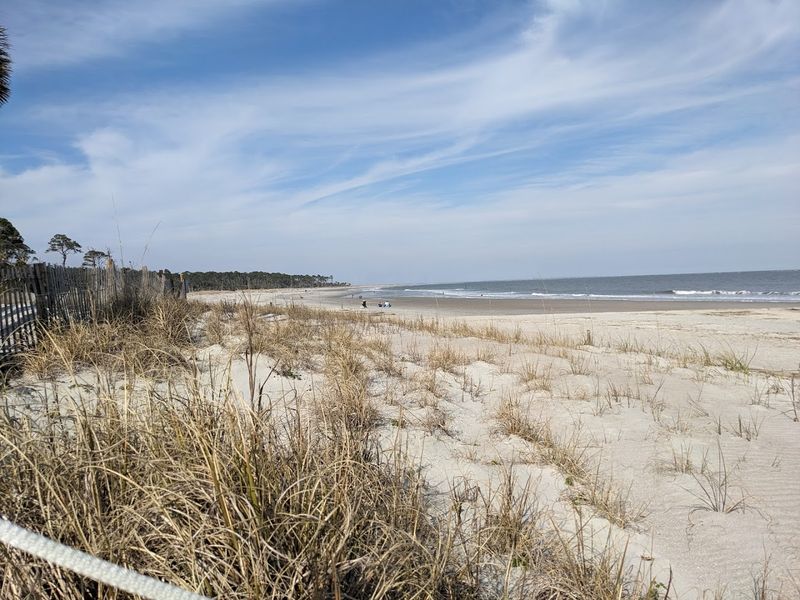 Sea Turtle Nesting Areas