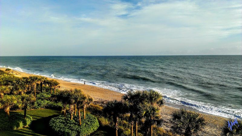Sea Turtle Nesting Season and Conservation Efforts