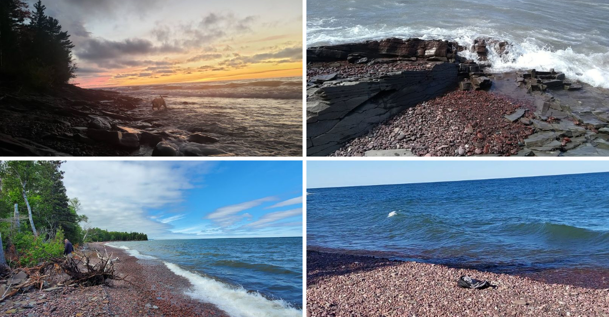 Search For Rare Rocks And Fossils At This Hidden Lakeside Park In Michigan