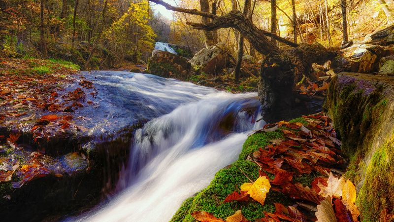Seasonal Beauty: A Different Hike Every Time You Visit Seasonal Beauty: A Different Hike Every Time You Visit