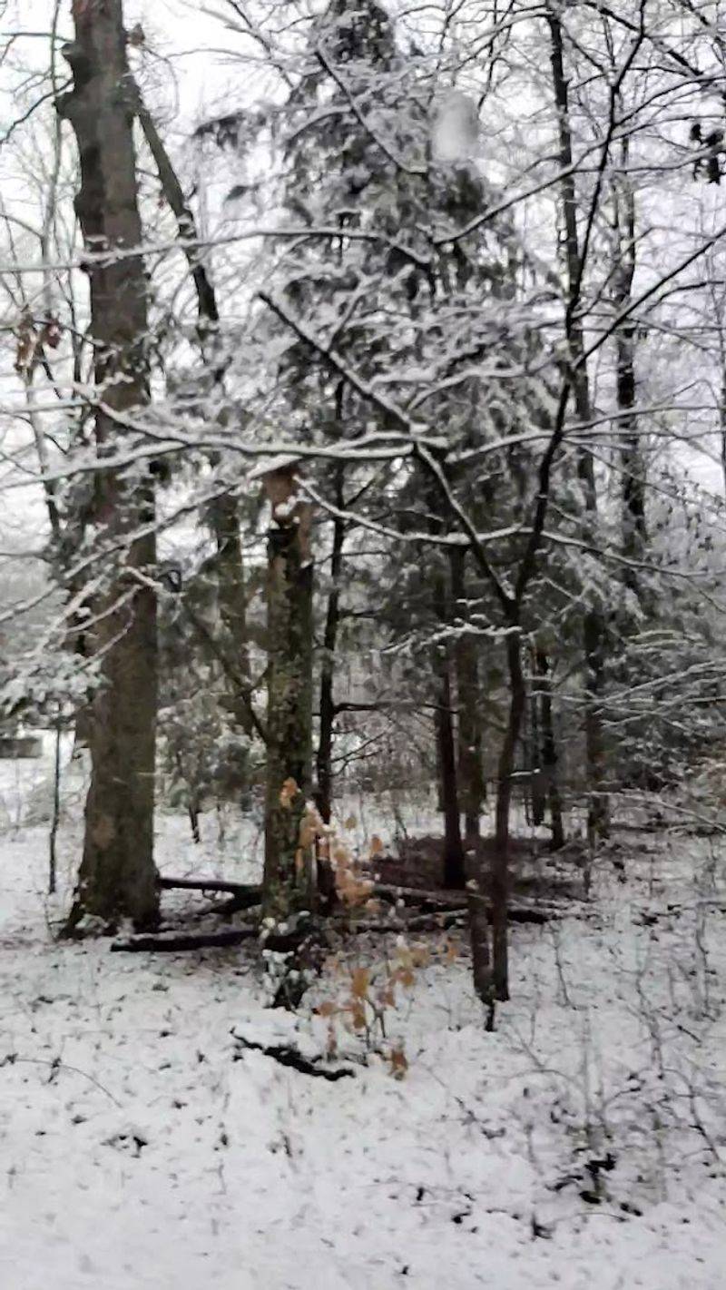 Seasonal Beauty and Nature's Simple Gifts