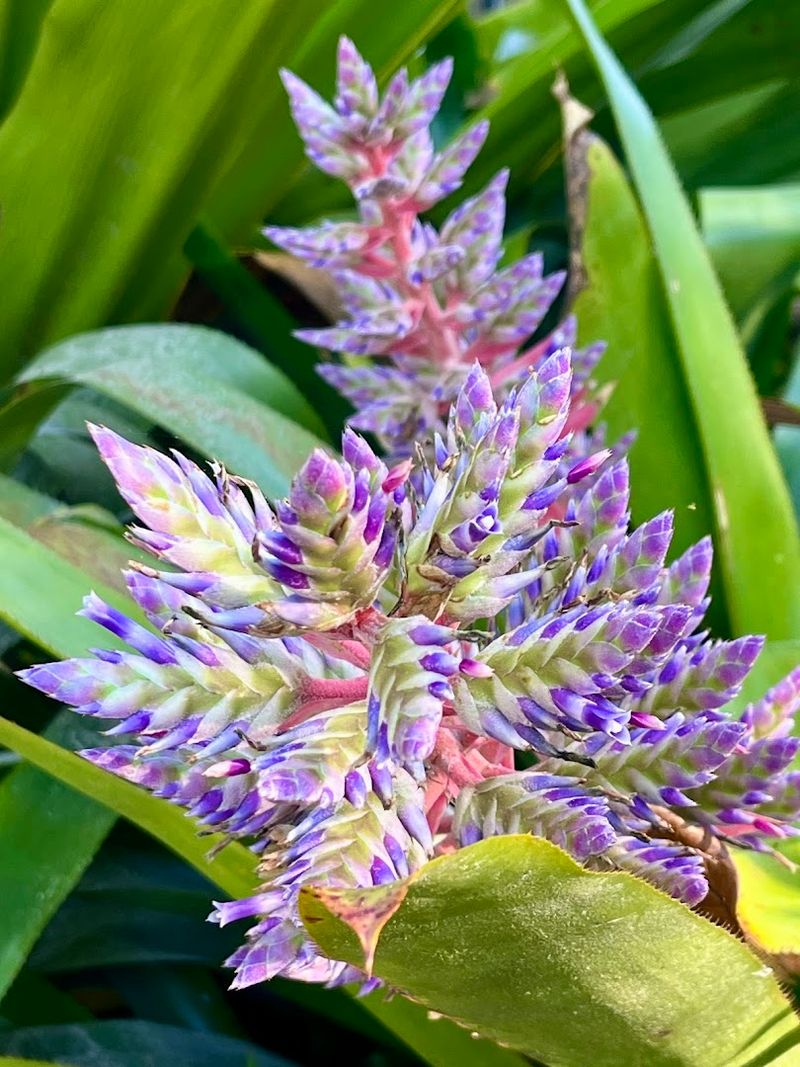 Seasonal Blooms That Keep Things Fresh Year-Round