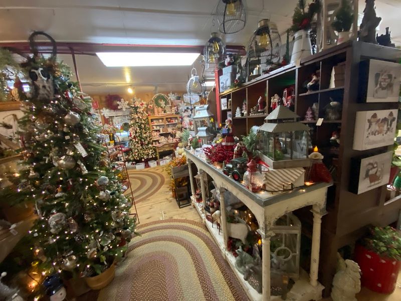 Seasonal Decorations and Christmas Festival Magic