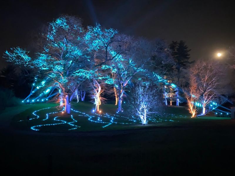 Seasonal Events and Themed Activities Throughout the Year