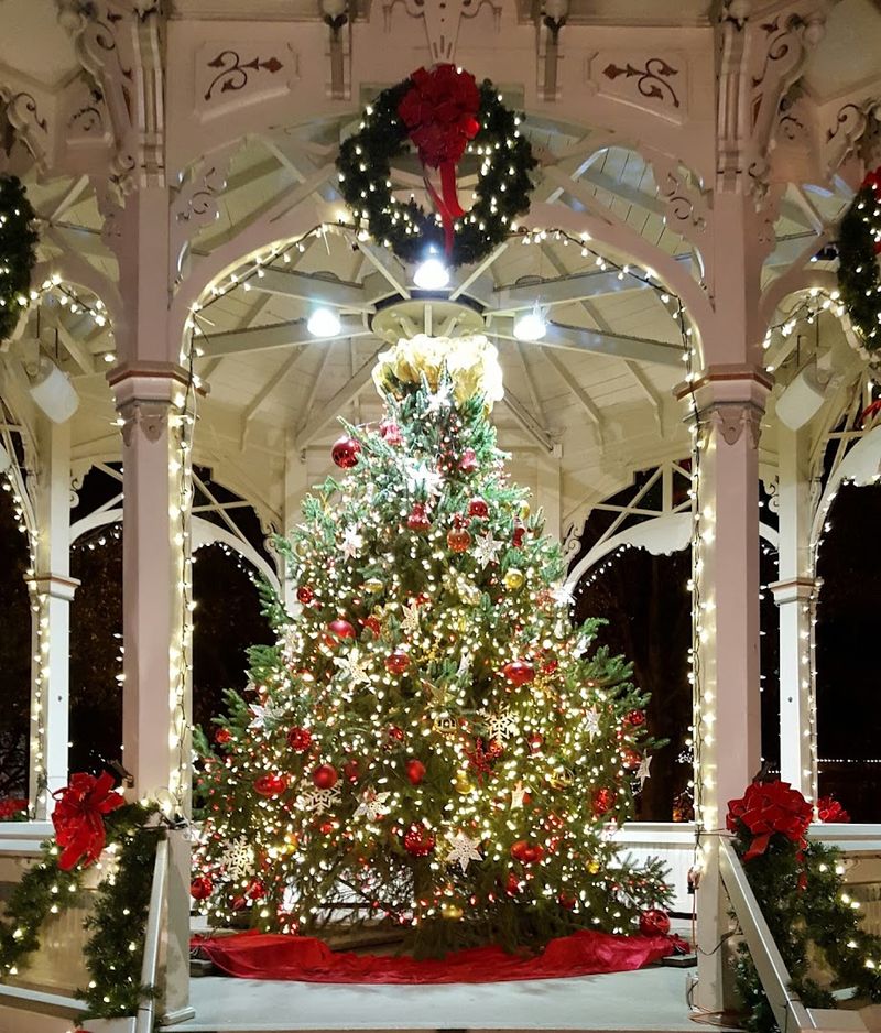 Seasonal Festivals That Bring Everyone Together