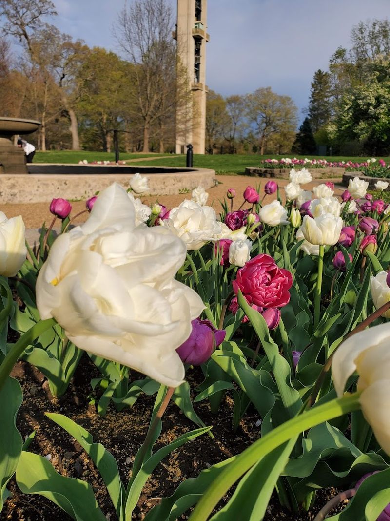 Seasonal Flower Displays That Change With Every Visit