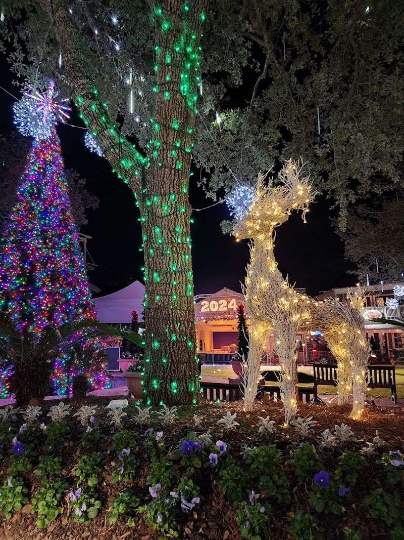 Seasonal Ice Skating That Brings Winter Magic to Florida