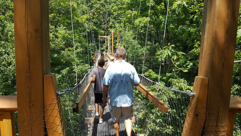 Seasonal Magic: Why Timing Your Visit Matters