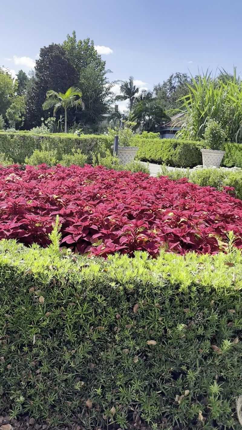 Seasonal Plant Sales That Gardening Lovers Adore