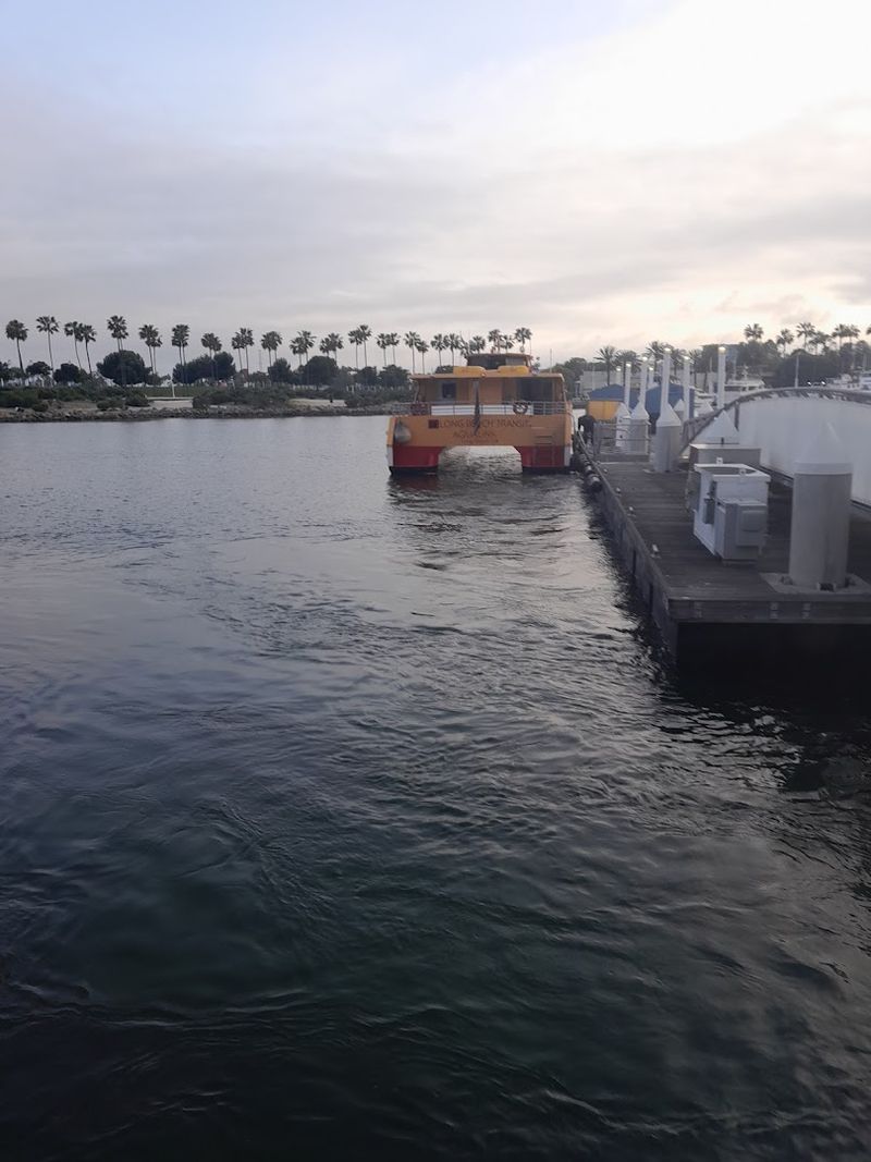 Seasonal Schedule and Limited Capacity — Plan Ahead