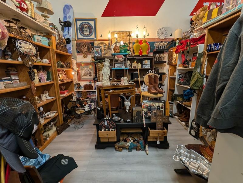 Seasonal Sections That Keep Every Visit Fresh