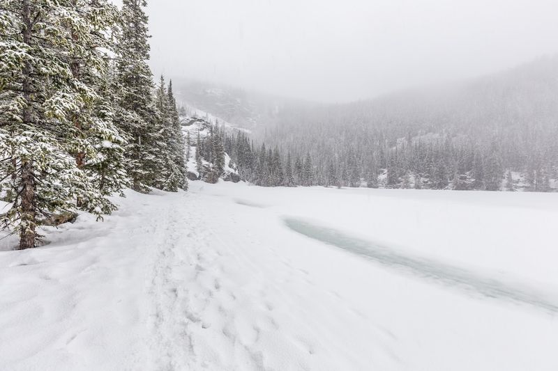 Seasonal Snow: What to Expect on the Trail Year-Round