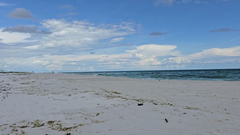 Seaweed Season — What To Know Before You Visit Seaweed Season — What To Know Before You Visit