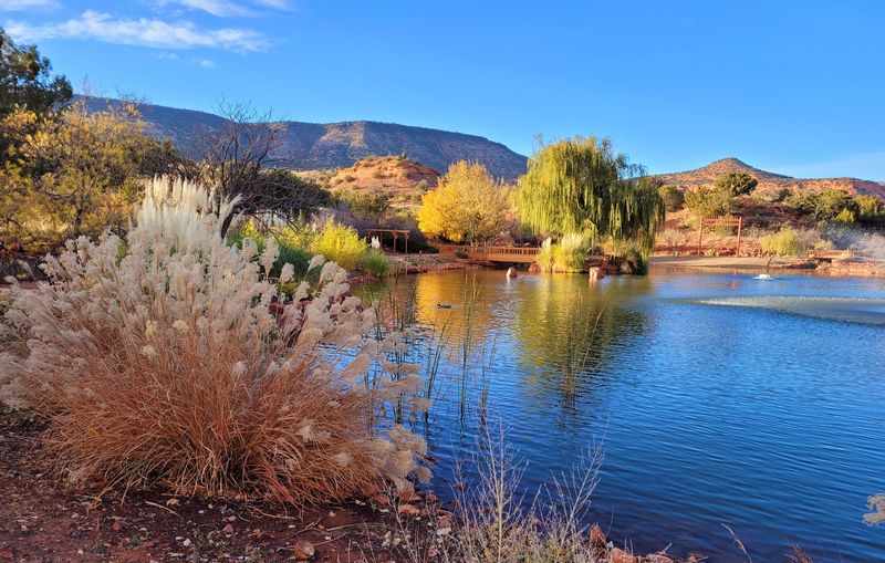 Sedona Wine Scene