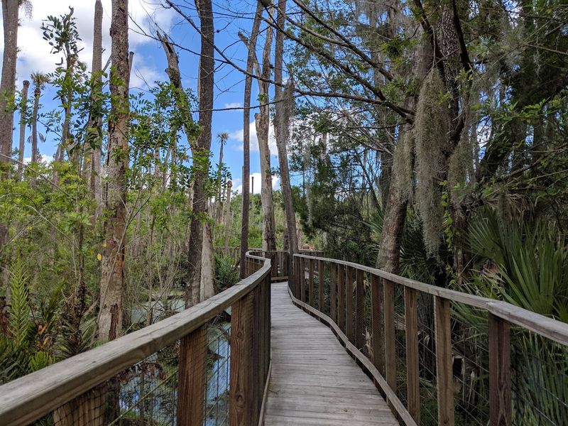 Seminole Indian History and Cultural Storytelling