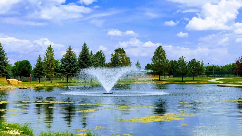 Senior Services and Support Programs