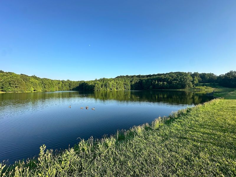 Serene Fishing at the Park's Small but Peaceful Lake