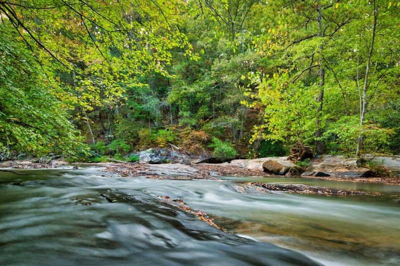 Settingdown Creek Views and Wading Spots