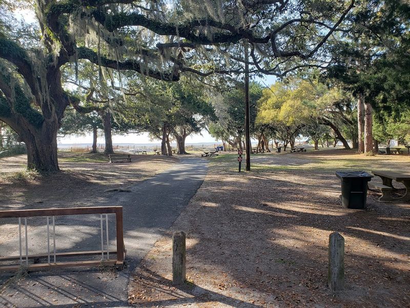Shaded Picnic Area With Grills and Tables