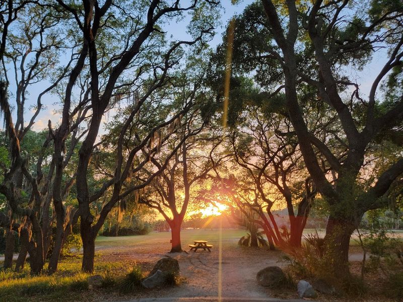Shaded Picnic Areas For A Full Day Out