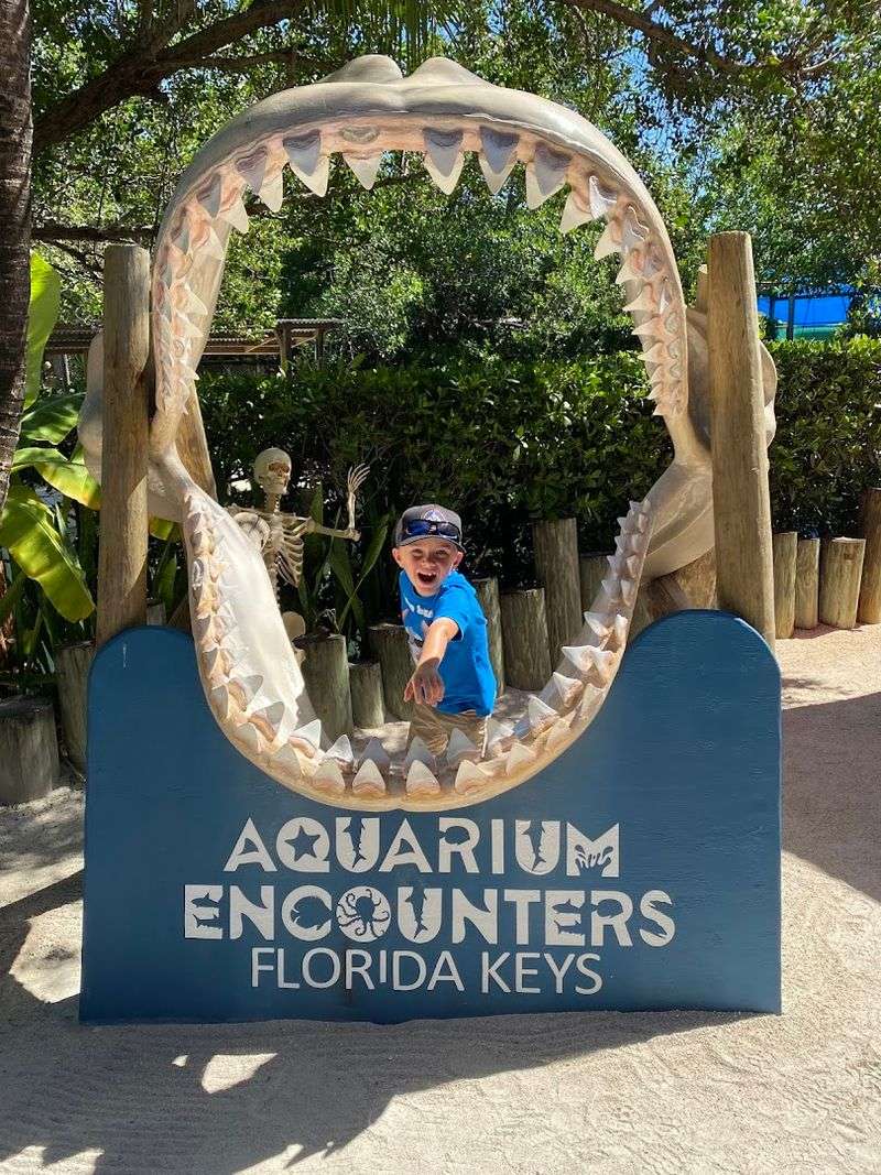 Shark Teeth Dig Pit for Kids