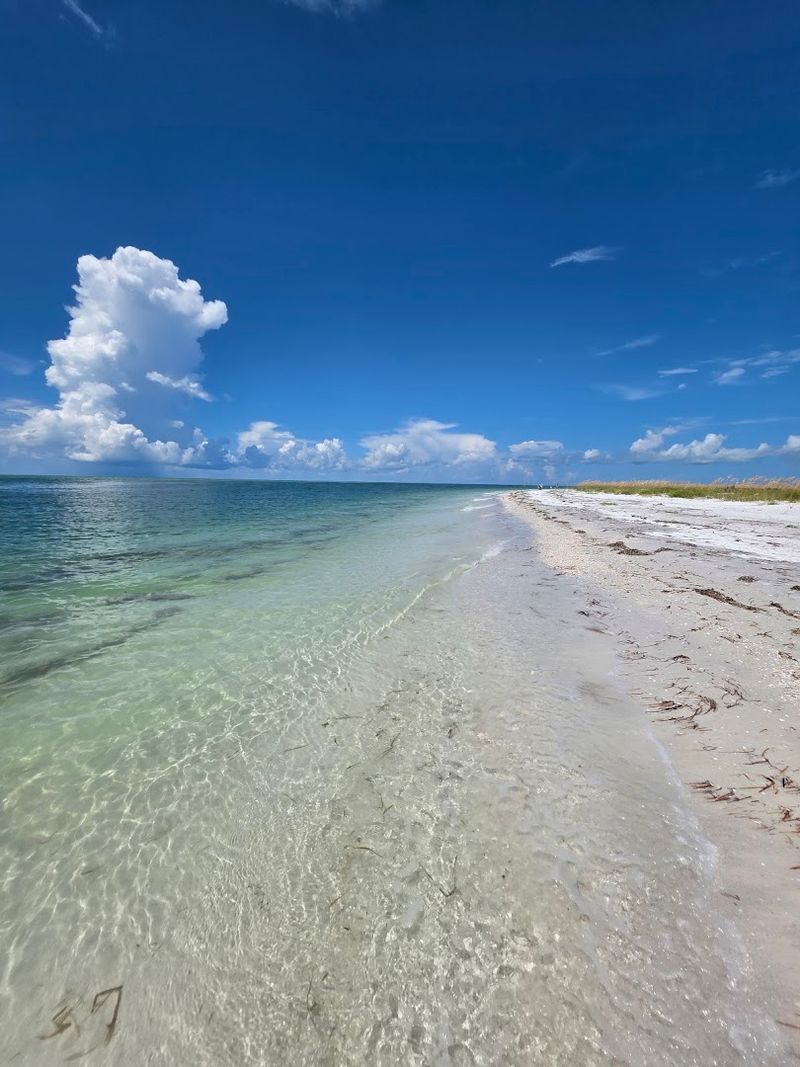 Shell Key Preserve - Tierra Verde, Florida Shell Key Preserve - Tierra Verde, Florida