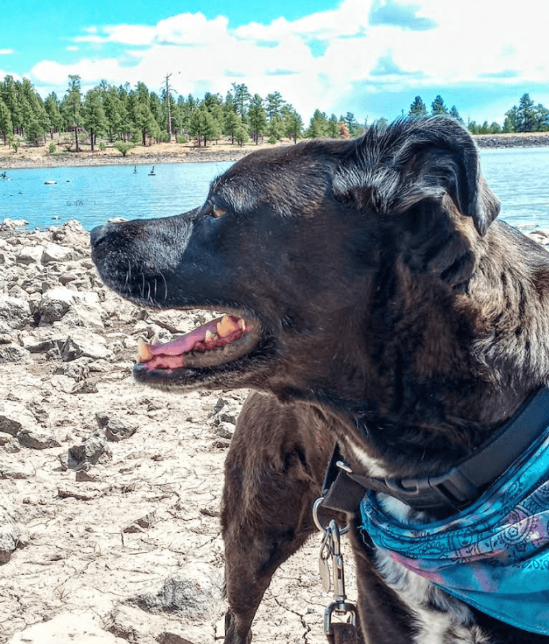 Sheridan Lake and Cataract Lake Recreation Sheridan Lake and Cataract Lake Recreation