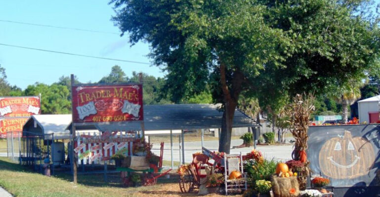 Shoppers From Across Florida Flock To This Massive Vintage Store For Unbeatable Deals