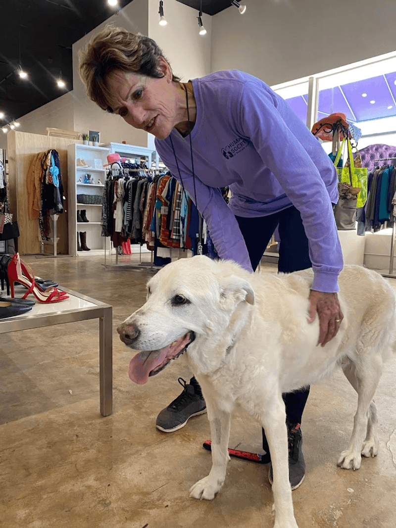 Shopping That Supports Real Animals in Need